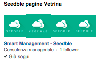 Seedble, Pagine Vetrina, Linkedin