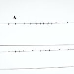 posizionarsi come startup