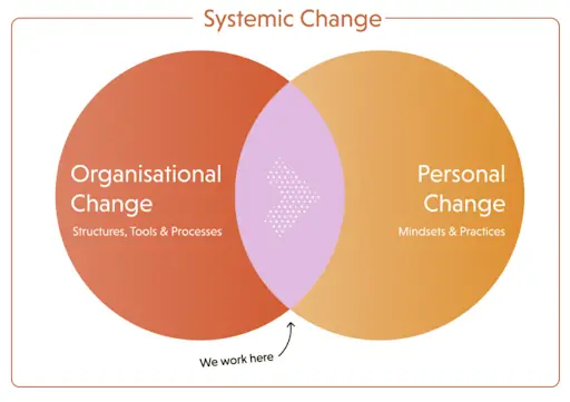 fare organizzazione systemic change