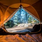 Millennials e Camping