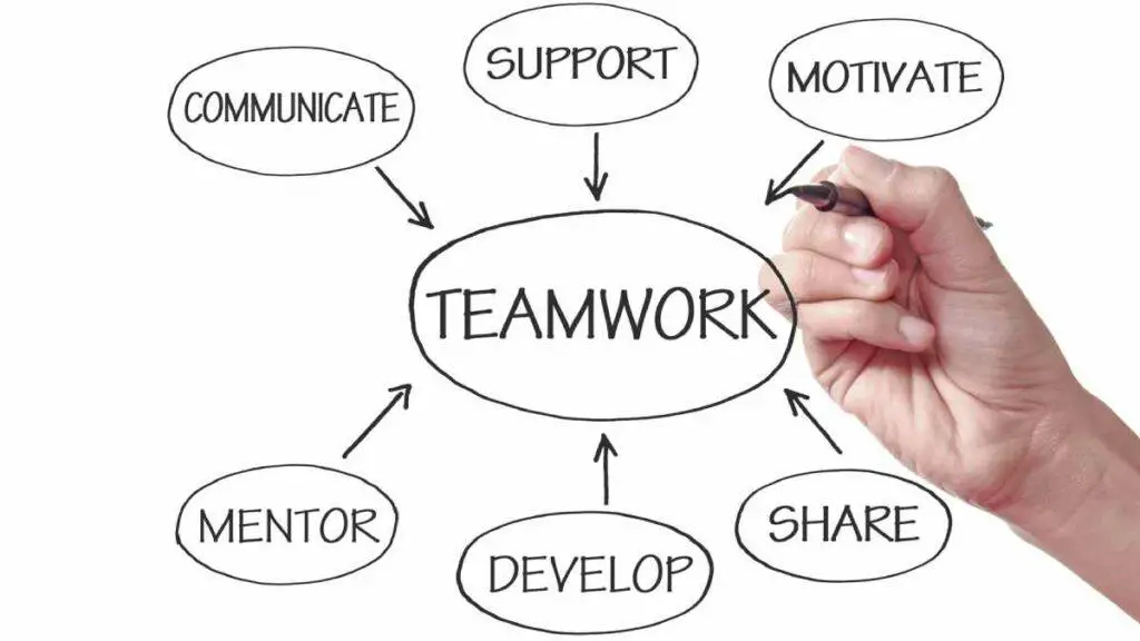 team management and teamwork